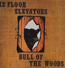 13th Floor Elevators : Bull of the Woods